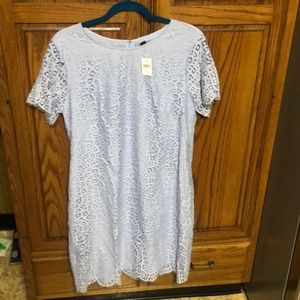 NWT Ann Taylor size 12 dress